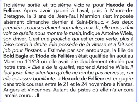 Hexode_StBrieuc3
